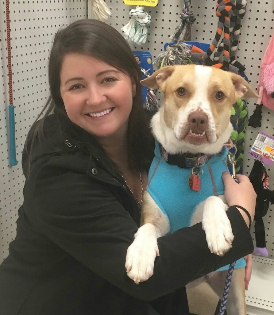 Meet Our Team Indulge Pet Resort & Dog Boarding In Berlin